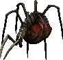 SpiderMagus