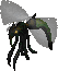 Sucker