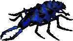 RockWorm