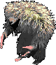 SnowYeti2